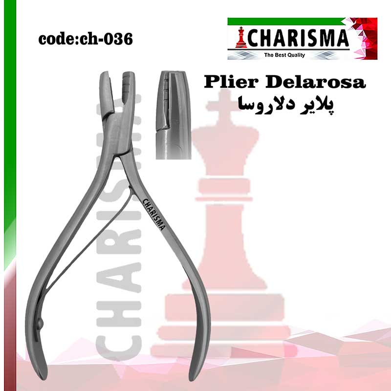پلایر دلاروسا کاریزما