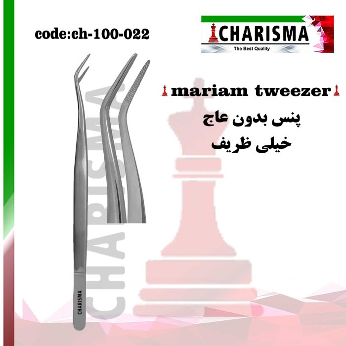 پنس ظریف کاریزما