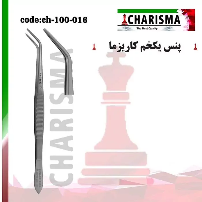 پنس یک خم کاریزما