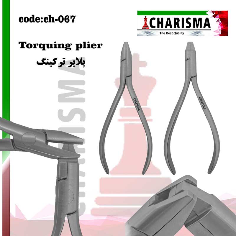 پلایر ترکینگ کاریزما
