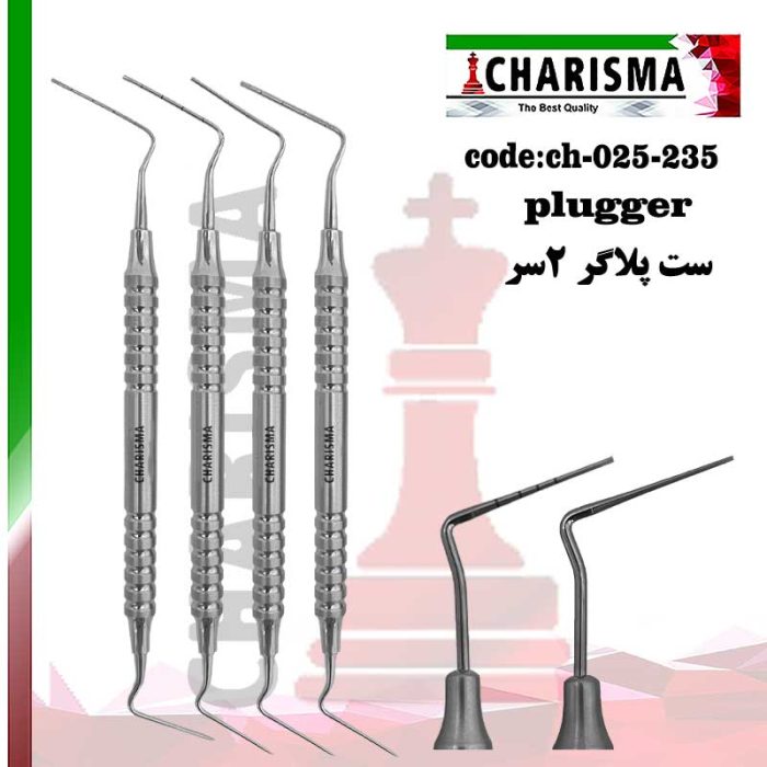 ست هیت کریر پلاگر کاریزما